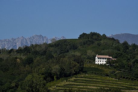 Savorgnano al Torre